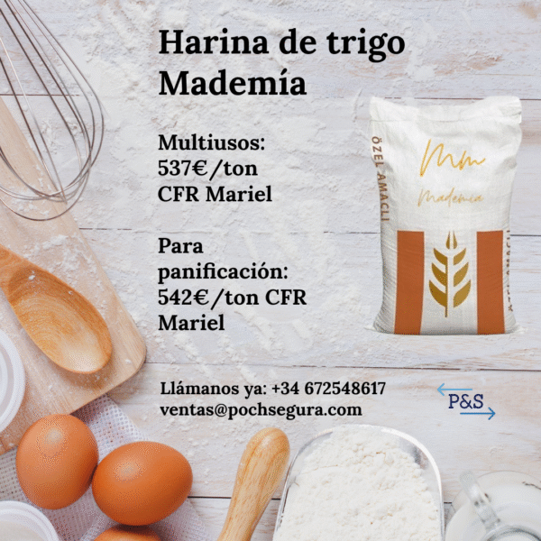 Harina de trigo Mademia